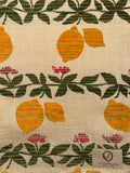 Limoni - La Gabbianella Venezia